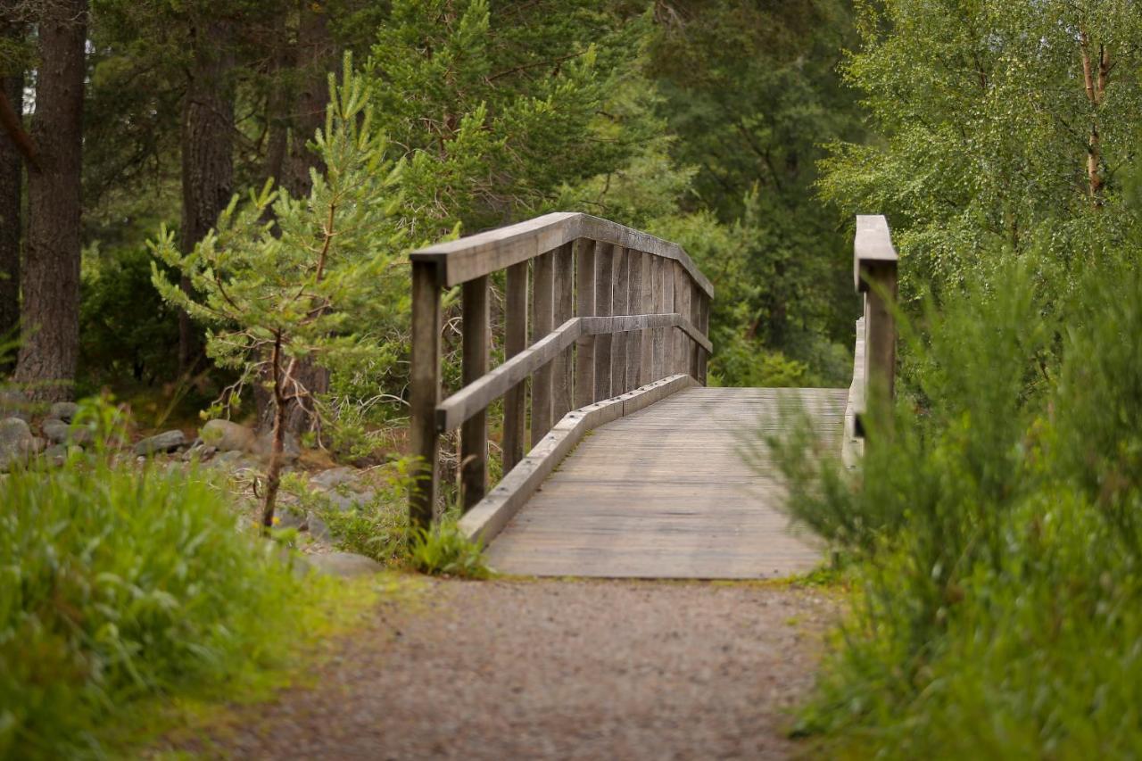 Cairngorm Lodge Youth Hostel Loch Morlich Exterior foto